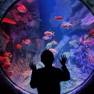 Meet your Posher, Marie